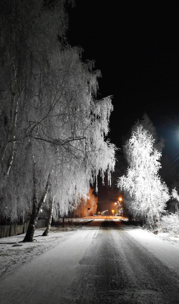 Photograph by Елена