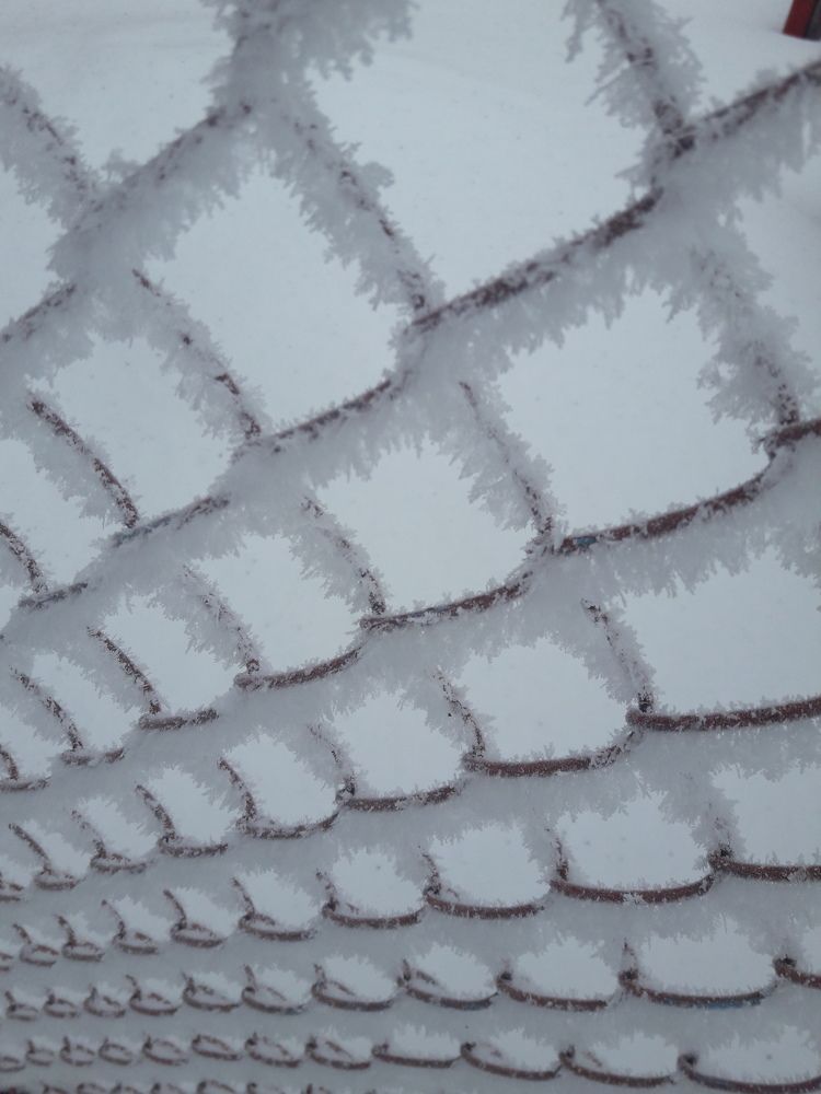 Photograph by Елена