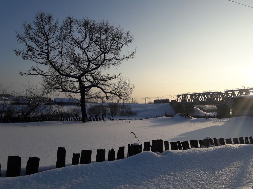 Photograph by Елена