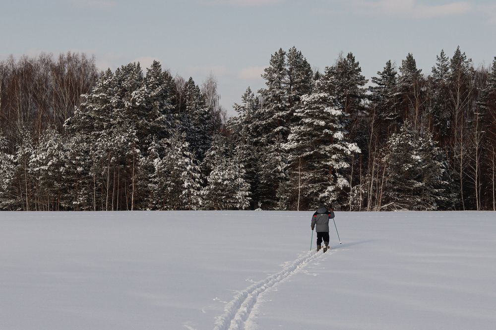 Photograph by Марина Слепова