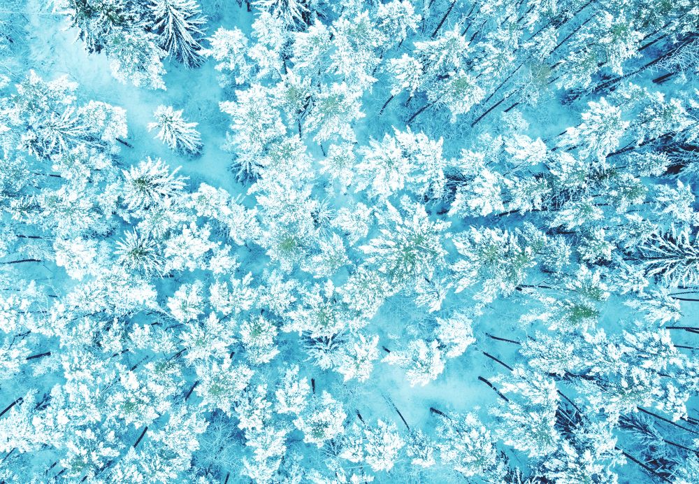 Photograph by Павел Минкевич