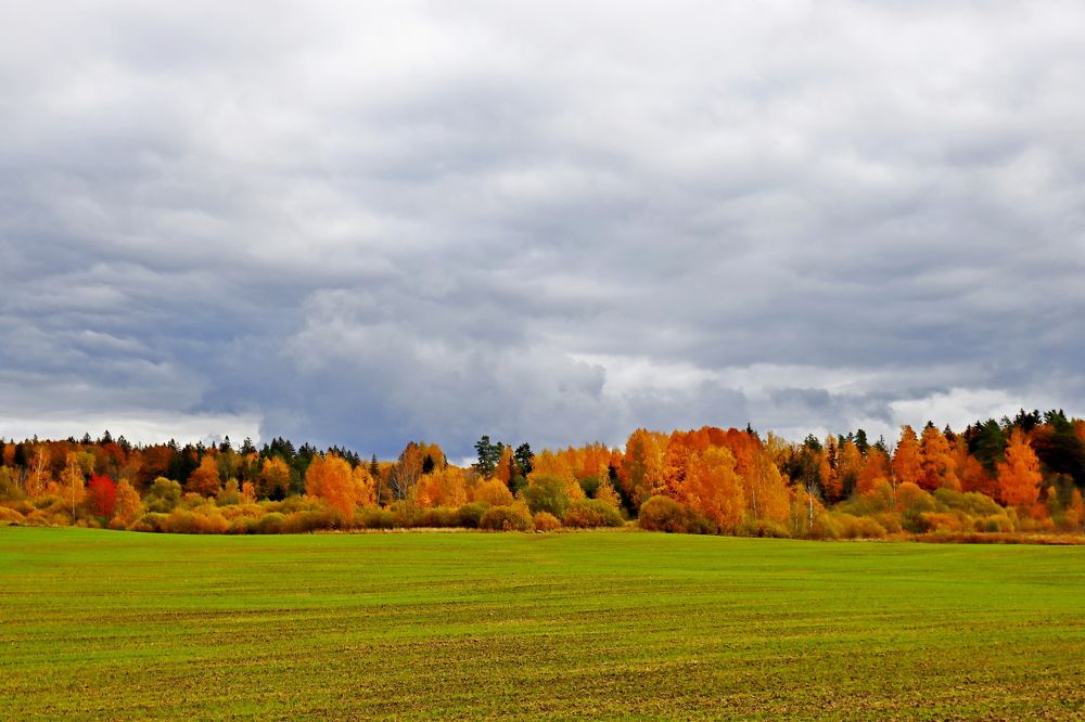 Фотография автора Сергей Барановский
