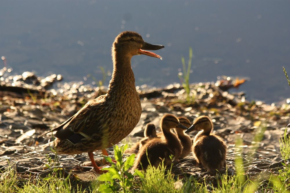 Photograph by Елена Смирнова