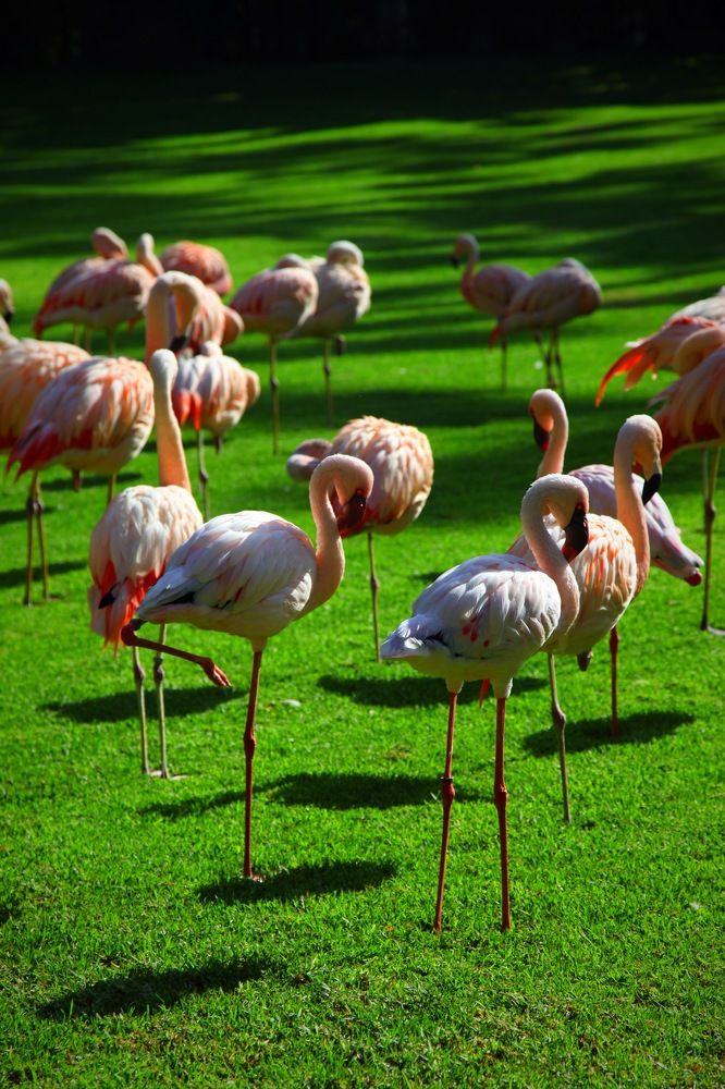 Photograph by Елена Смирнова