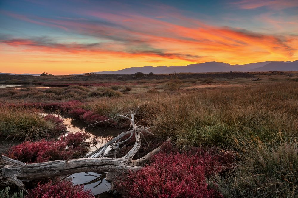 Photograph by GEORGE MARMARINOS