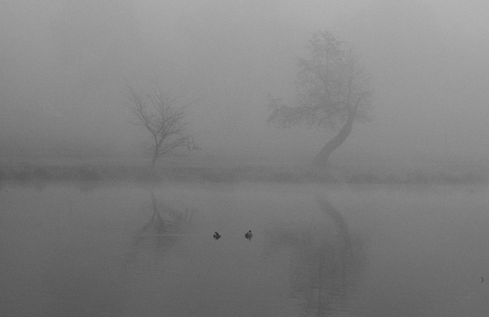 Photograph by Игорь Криулин