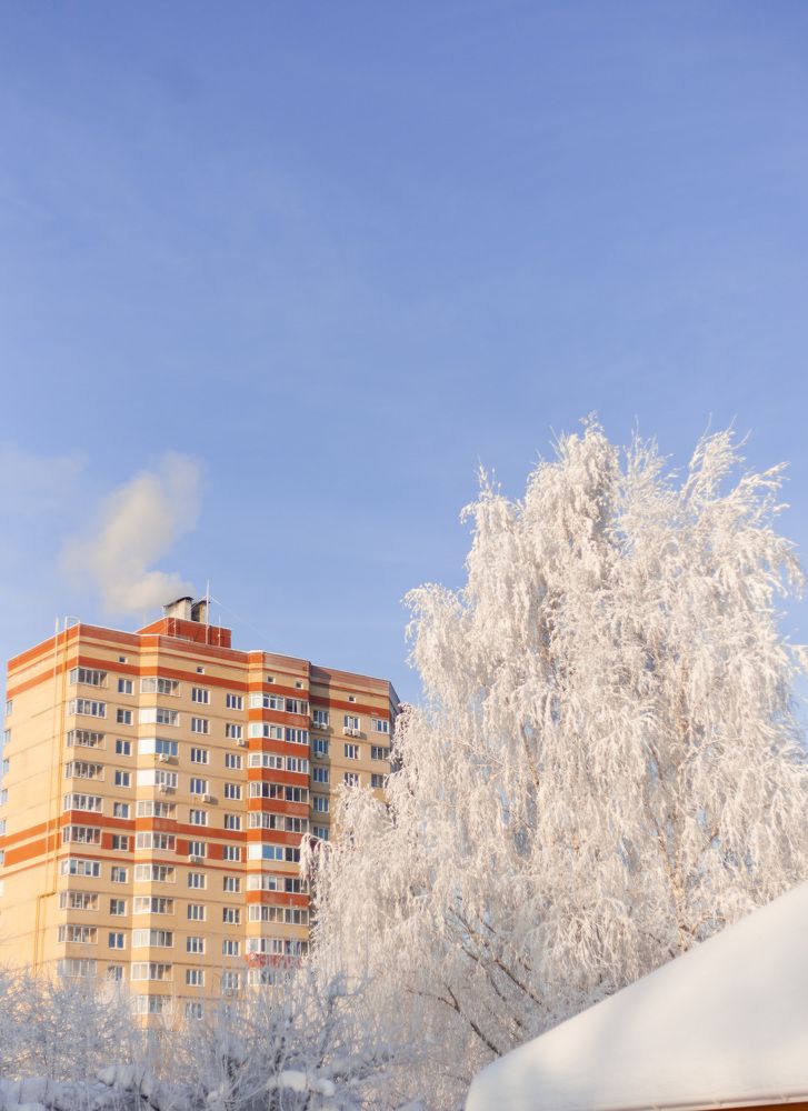 Солнечный зимний день