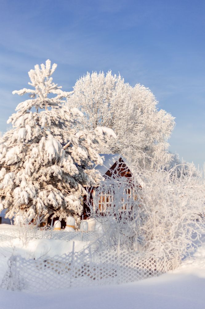 Photograph by Валерия