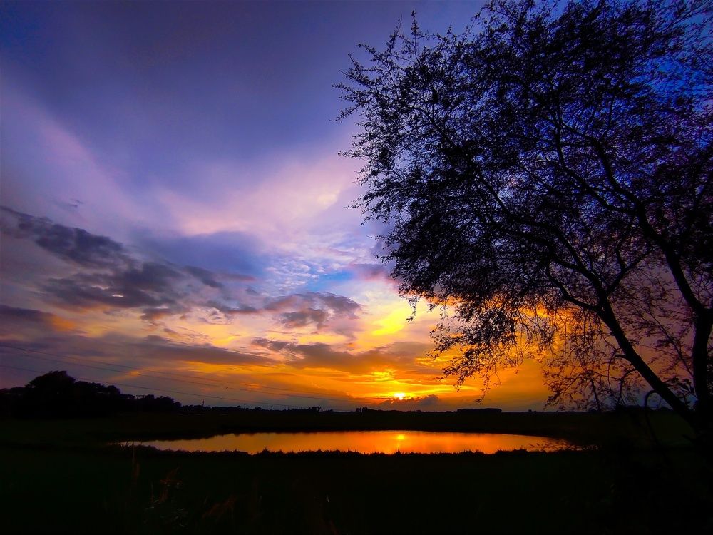 Photograph by Suman Mondal