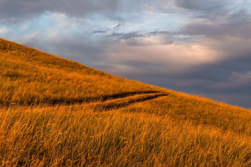 Дорога в небо