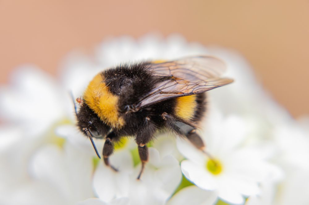 Photograph by Илья Нелюбин