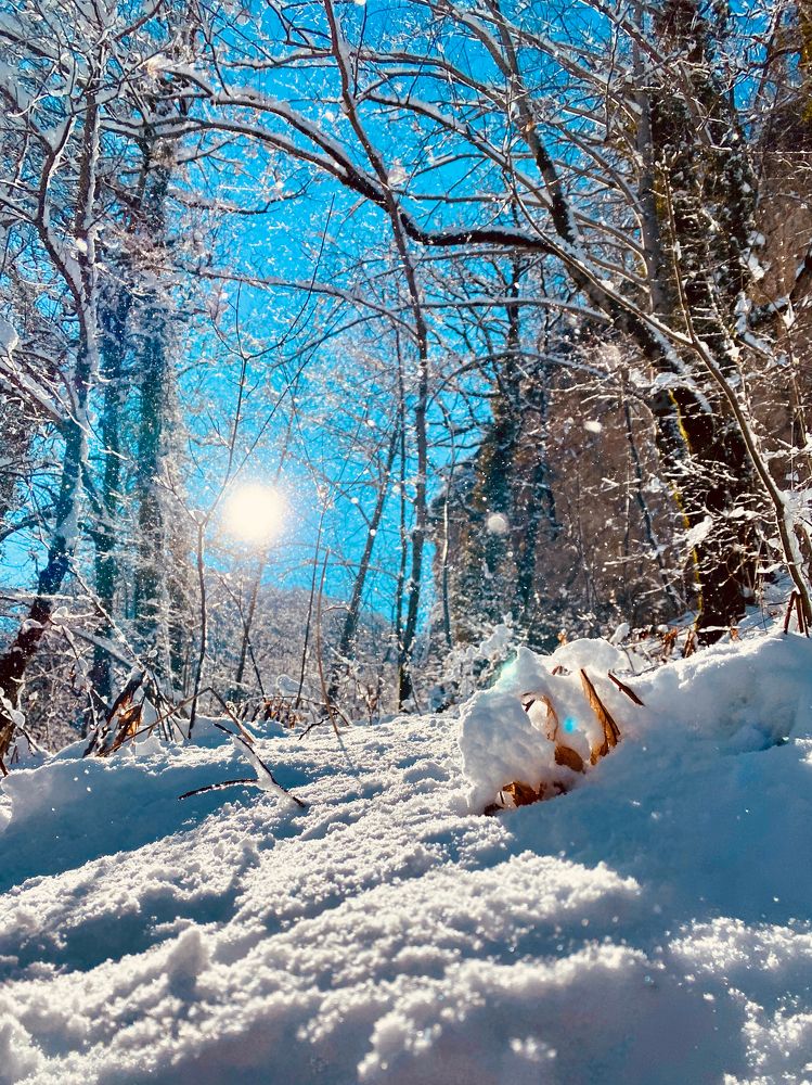 Photograph by Александр Арасланов