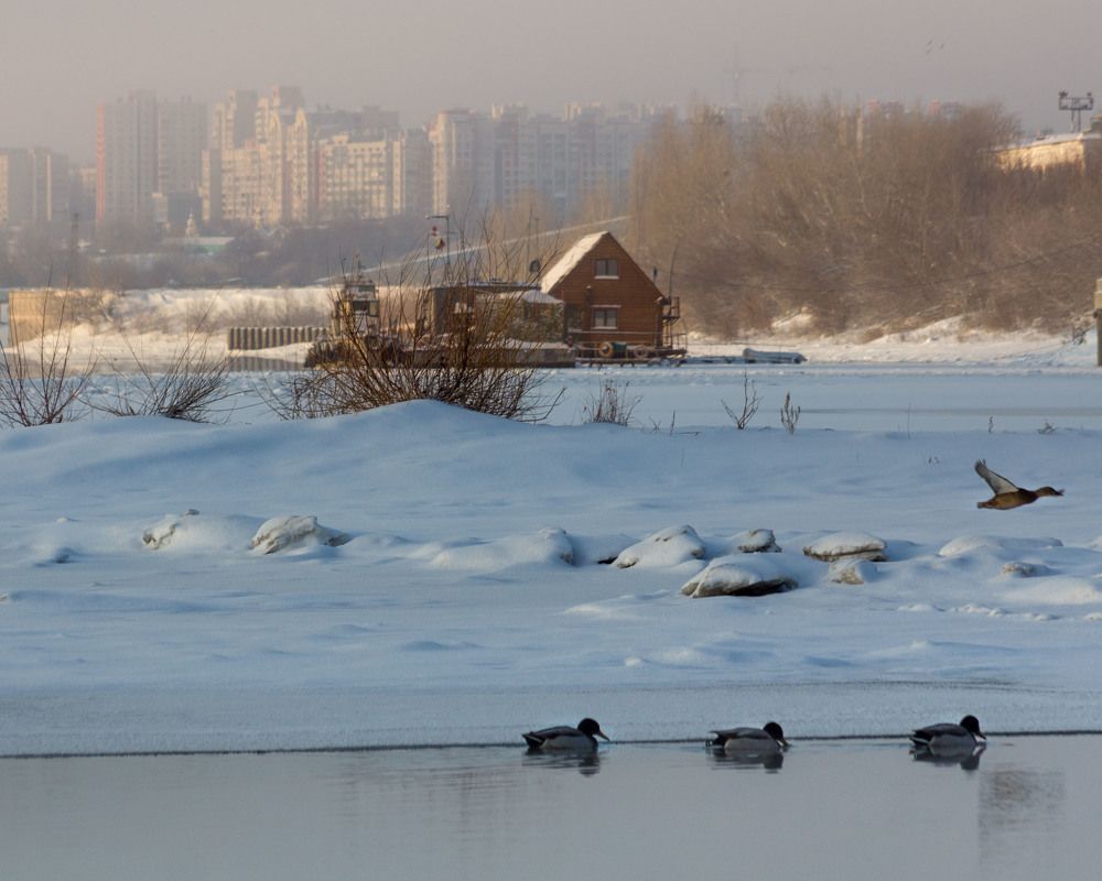 Хочется в деревню