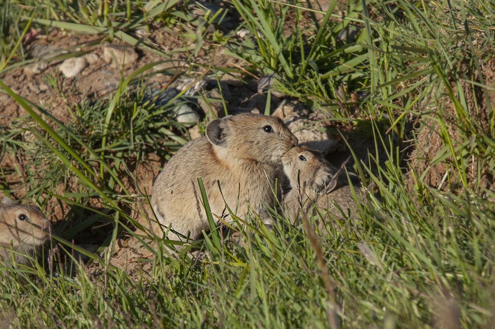 Photograph by Vladimir