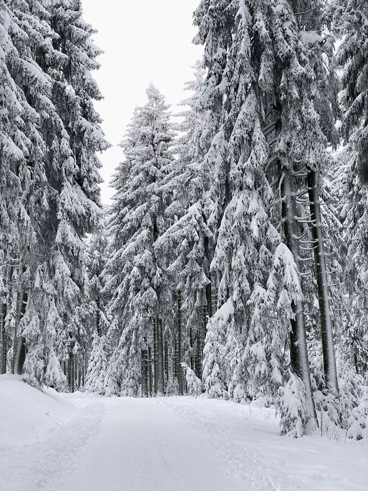 Photograph by Наталья Посашко