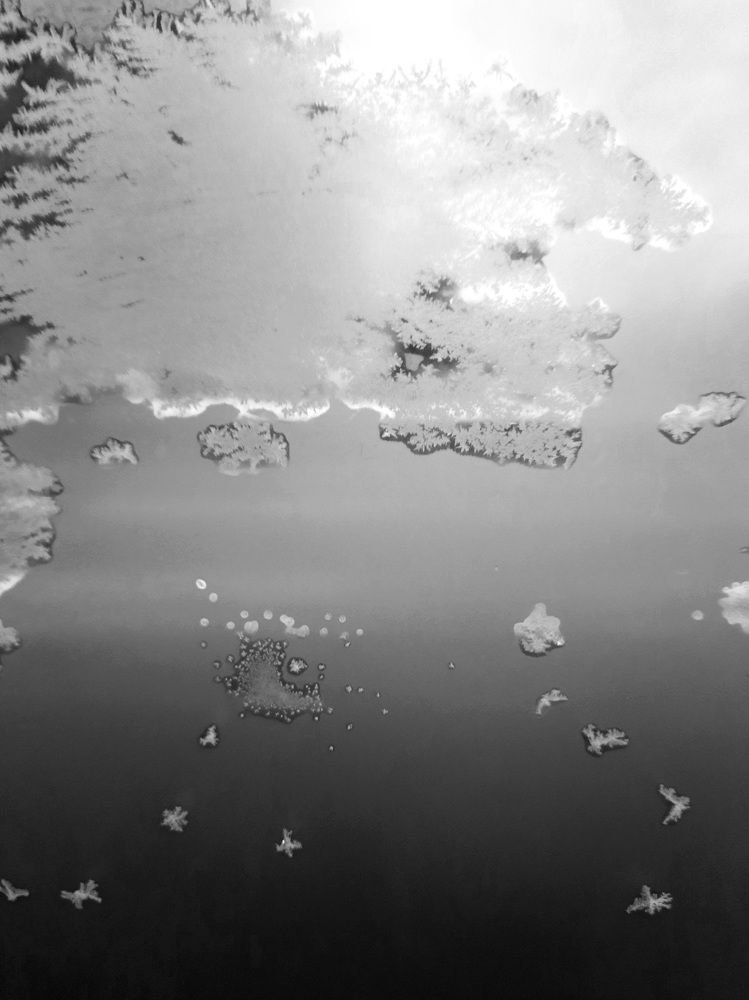 Photograph by Татьяна