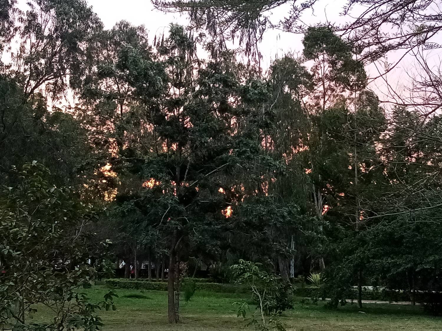 Photo #7187545