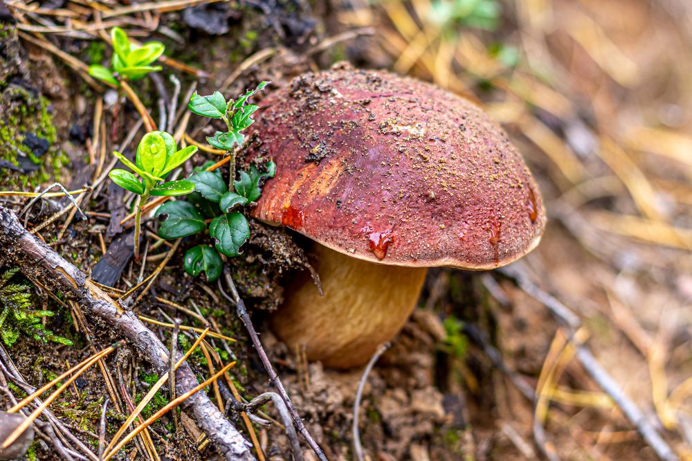 Photograph by Илья Нелюбин