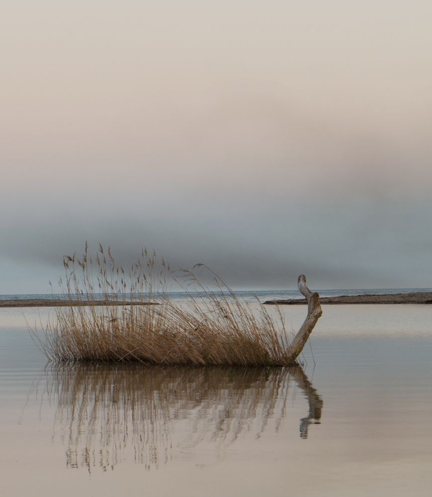 Photograph by Nadezhda  Romashina
