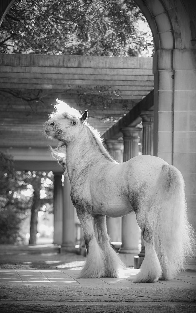 Photograph by Samantha