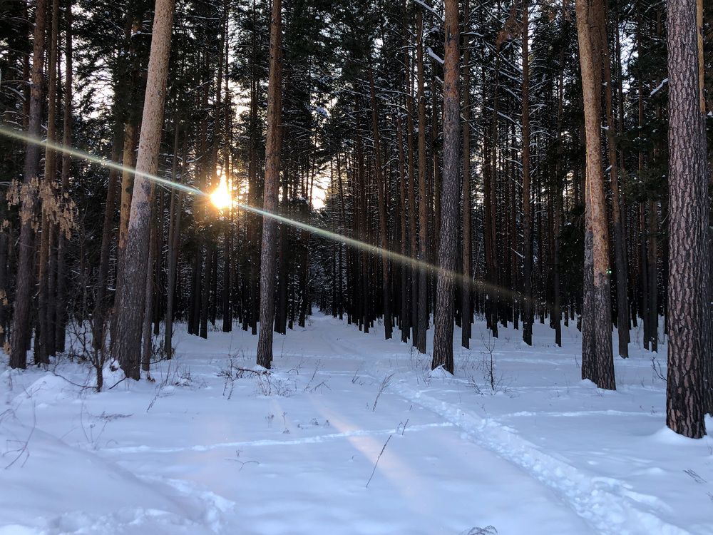 Photograph by Голубев Антон