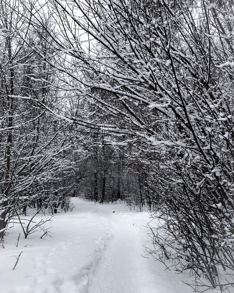 Photograph by Голубев Антон