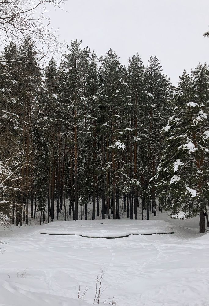 Photograph by Голубев Антон