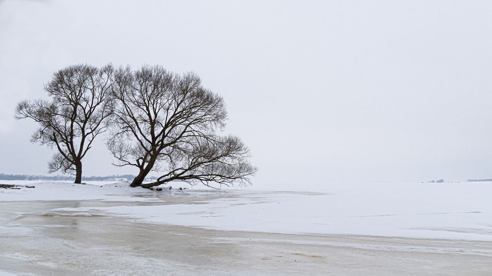 Photograph by Valdis Serzhans