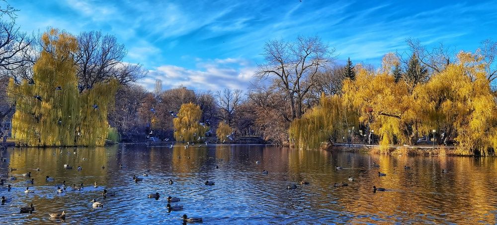 Осенняя сказка