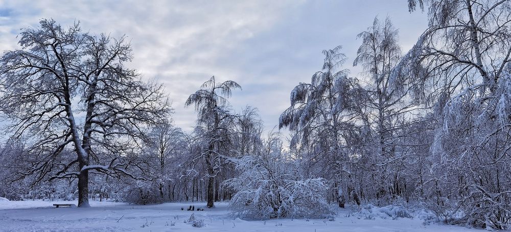 Зимний вечер