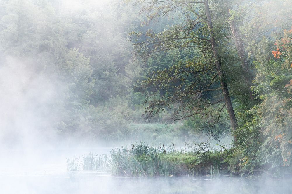 Фотография автора Андрей [Seencleyr] Чуяшенко