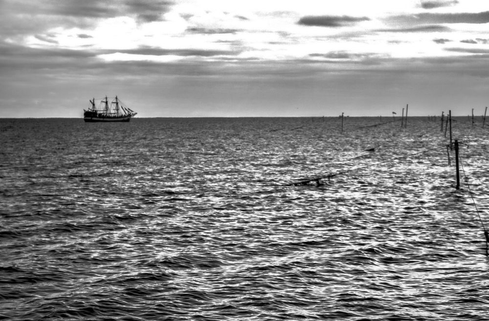 Photograph by  Татьяна