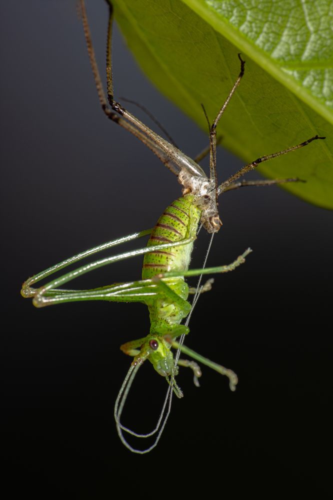 Photograph by Александр Губин