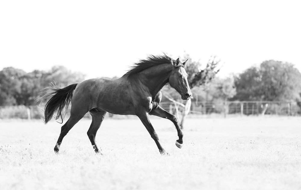 Photograph by Samantha Dawn