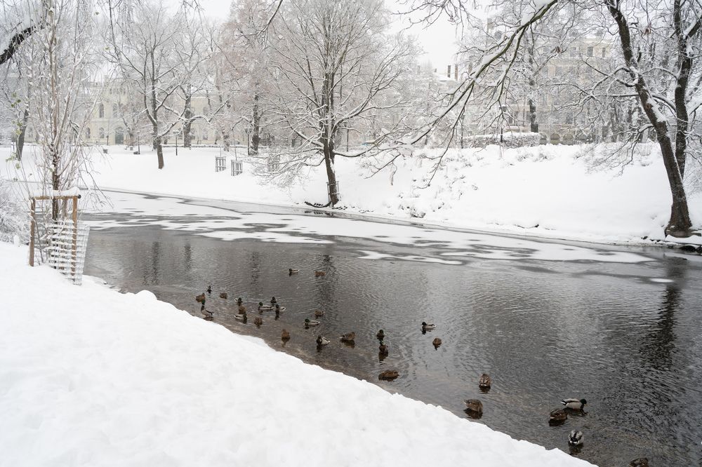 Photograph by Olga Zdančuka