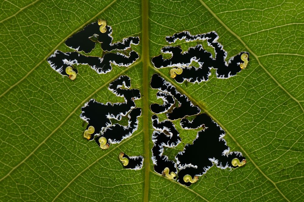 Photograph by Александр Губин