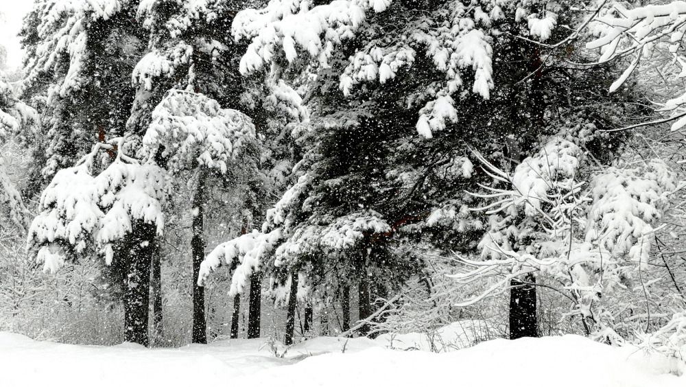 Photograph by Татьяна Куркова