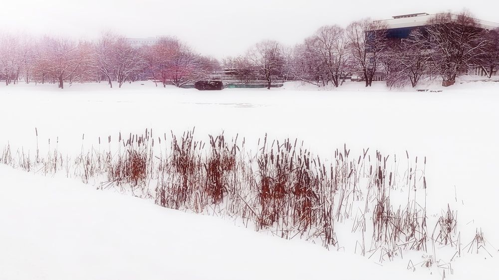 Photograph by Татьяна Куркова