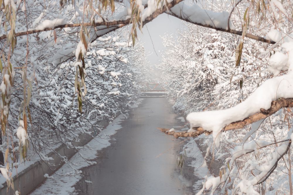 Photograph by Radoslav Bonev