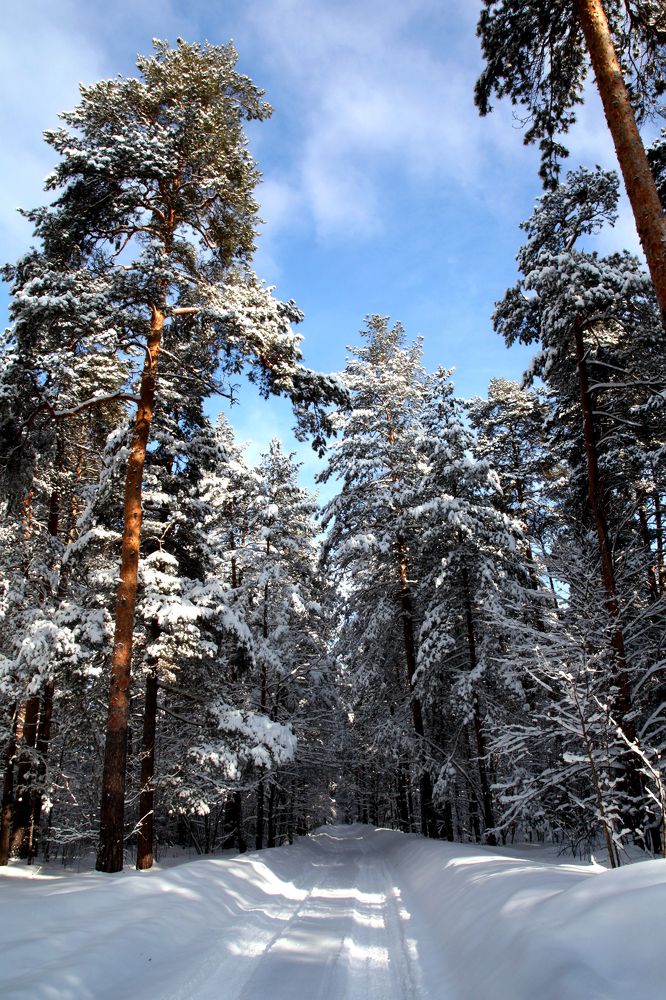 Photograph by Моложников Юрий