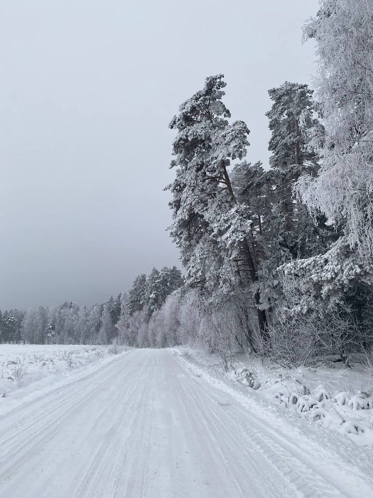 Photograph by Анастасия Сержантова