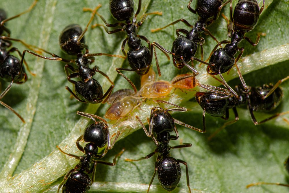 Photograph by Александр Губин