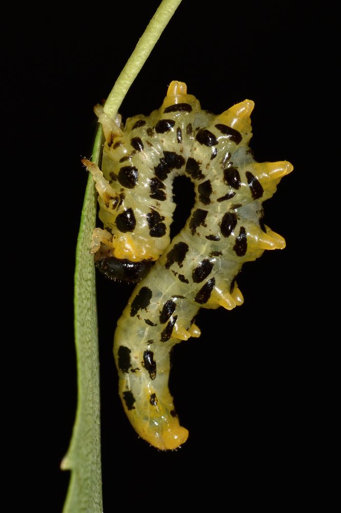 Photograph by Александр Губин