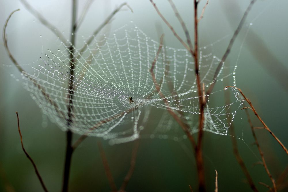 Photograph by Татьяна Рудковская