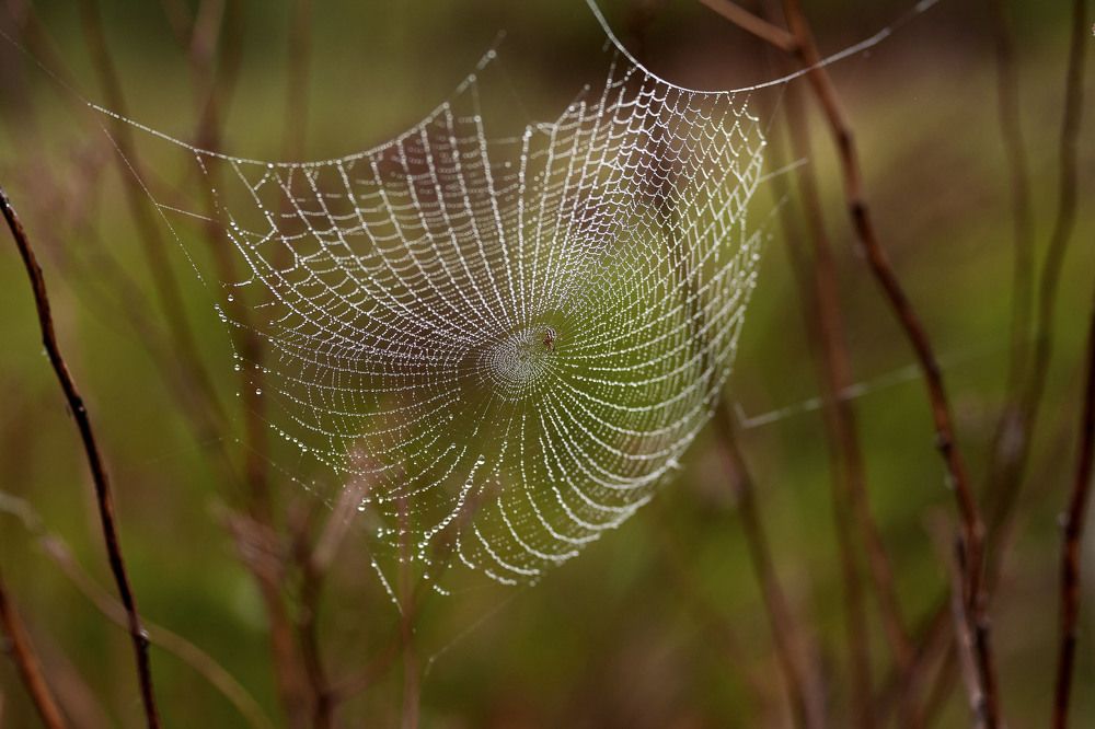Photograph by Татьяна Рудковская