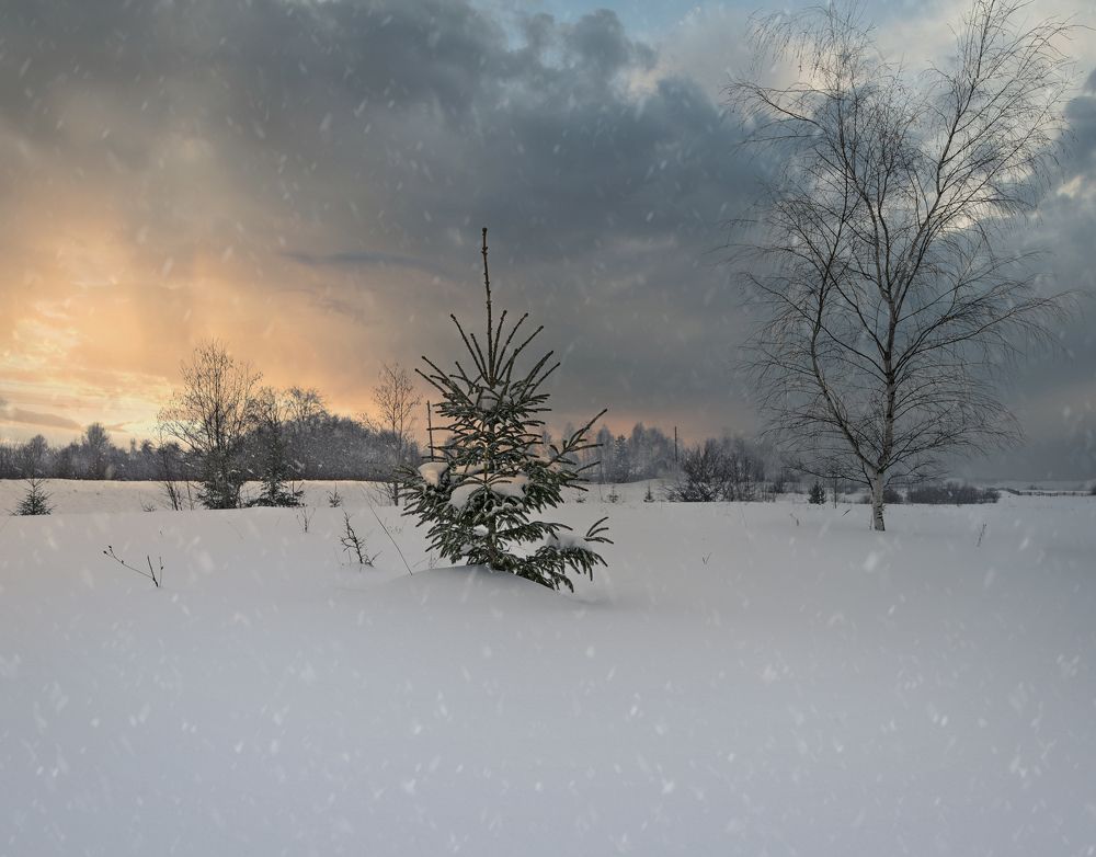 Photograph by Ирина Кленкова