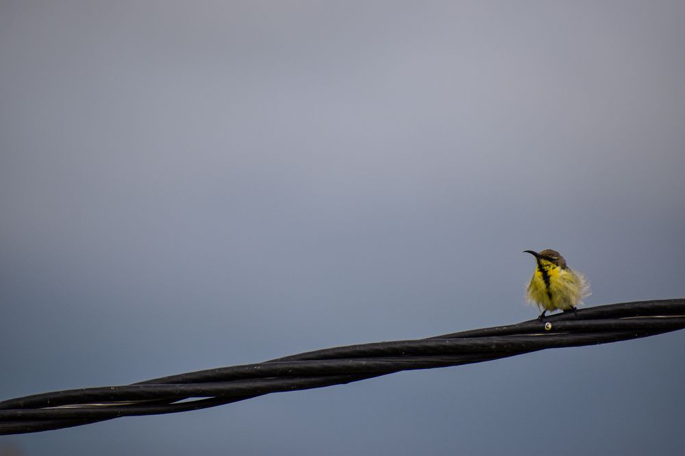 Photograph by Shivam swaraj
