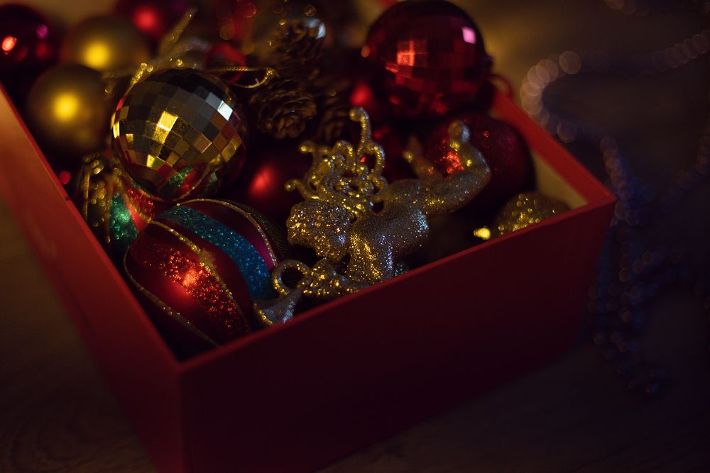 Photograph by AlyaLeta