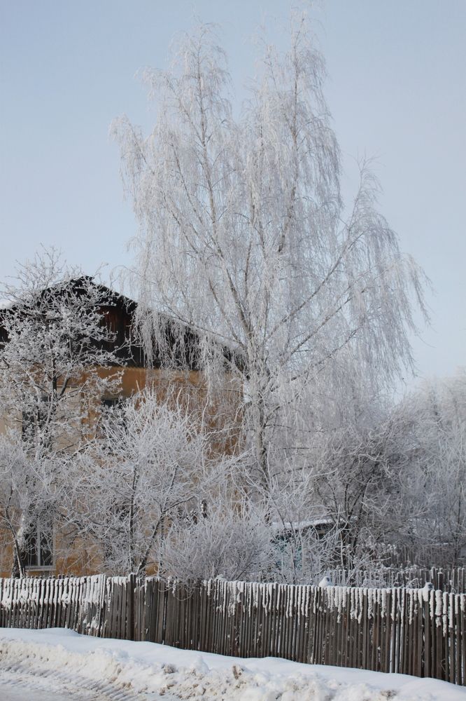 Photograph by Светлана Велиева