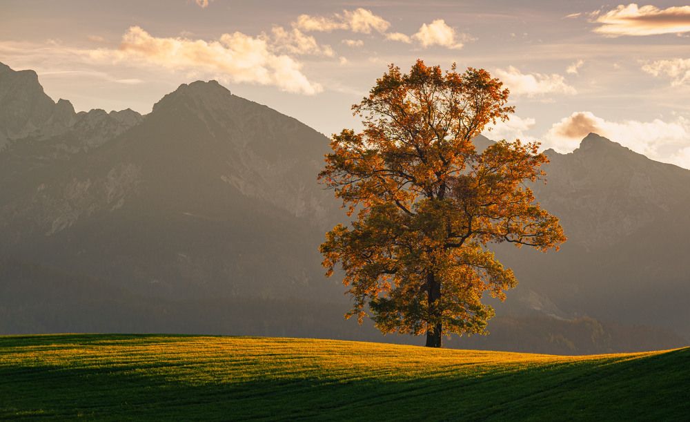 Photograph by Tefik Rustemov